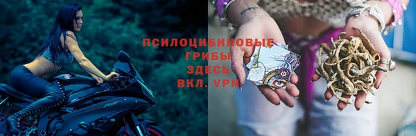 мдма Белокуриха