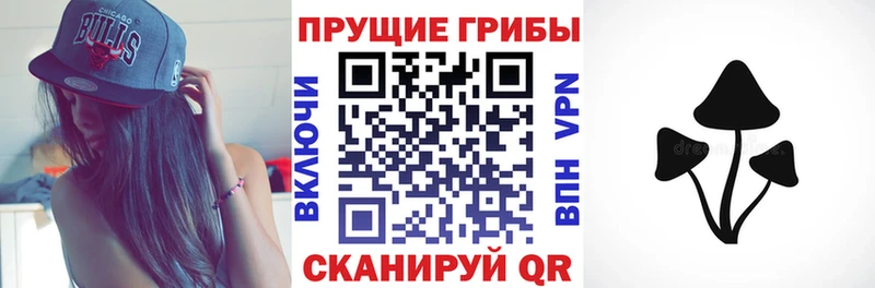 где купить наркоту  Кодинск  Галлюциногенные грибы MAGIC MUSHROOMS 